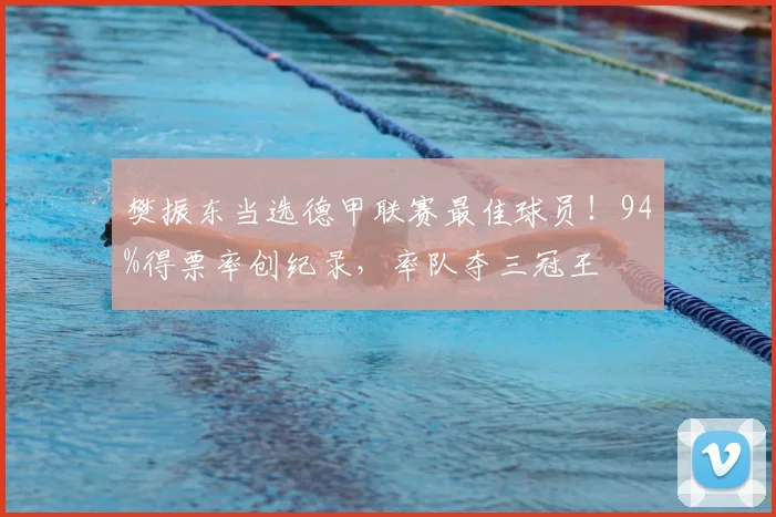 樊振东当选德甲联赛最佳球员！94%得票率创纪录，率队夺三冠王