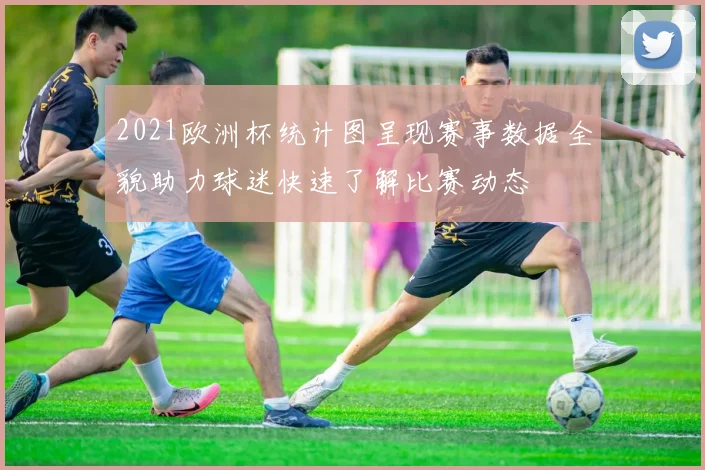 2021欧洲杯统计图呈现赛事数据全貌助力球迷快速了解比赛动态