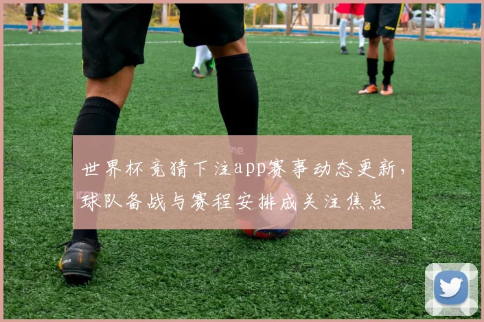 世界杯竞猜下注app赛事动态更新，球队备战与赛程安排成关注焦点