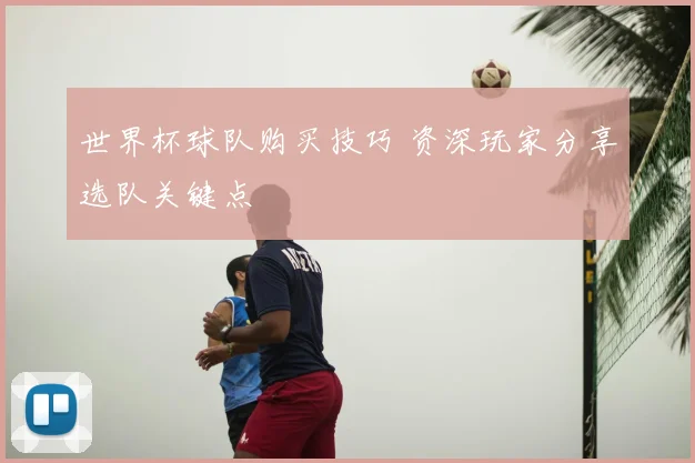 世界杯球队购买技巧 资深玩家分享选队关键点