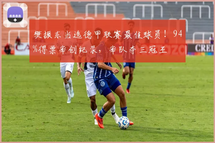 樊振东当选德甲联赛最佳球员!94%得票率创纪录,率队夺三冠王