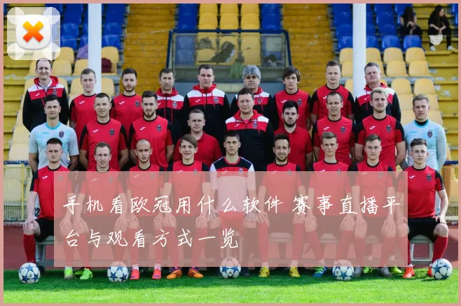 手机看欧冠用什么软件 赛事直播平台与观看方式一览