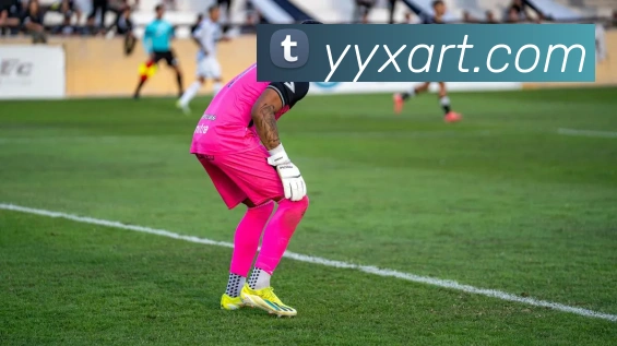 mksports官方登录入口服务体系